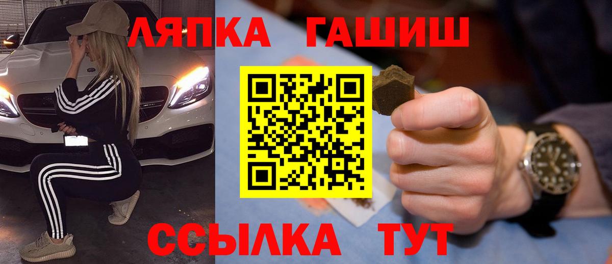 ГАШ Premium Гатчина
