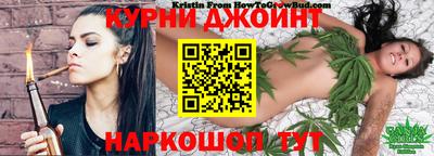 ALPHA PVP Ярославль