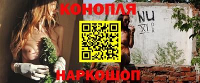 ALPHA PVP Ярославль